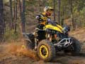 Spēle ATV Offroad mīkla online