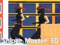 Spēle Sniper Meistars 3D online