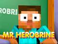 Spēle Mr. Herobrine online