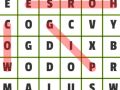 Spēle Vārdu meklēšana: Dzīvnieki online Spēle Vārdu meklēšana: Dzīvnieki online