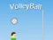Spēle Volejbols online