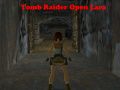 Spēle Tomb Raider: Atvērta Lara online