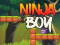 Spēle Ninja Zēns online