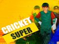 Spēle Super Krikets online