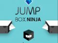 Spēle Lēciena Kaste Ninja online