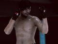 Spēle MFS: MMA Cīnītājs online