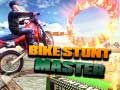 Spēle Velosipēdu Triku Meistars online