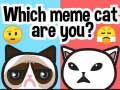 Spēle Kāds esi meme kaķis? online