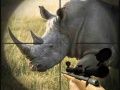 Spēle Savvaļas ragažu mednieks online