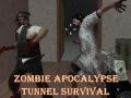 Spēle Idzīvot tunelī zombiju apokalipsē online