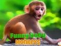Spēle Smieklīgs mazais pērtiķis online