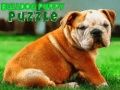 Spēle Bulldoga kucēna puzle online