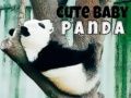 Spēle Mīļš mazais pandiņš online