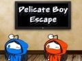 Spēle Delikāta Zēna Izbeigšana online