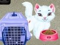 Spēle Baby Taylor: Mājdzīvnieku Aprūpe online