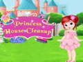Spēle Princese mājas tīrīšana online