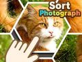 Spēle Kārtot fotogrāfijas online