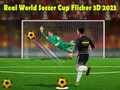 Spēle Reālā Pasaules Futbola Kauss Flicker 3D 2023 online