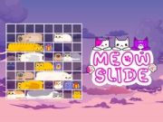 Spēle Kaķis Slīdēt online