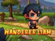 Spēle Ceļotājs Liam online