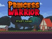 Spēle Princeses karavīrs online