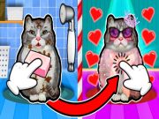 Spēle Komaru kaķis online