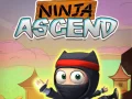 Spēle Nindzas Pieaugums online Spēle Nindzas Pieaugums online