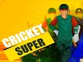 Spēle Super Krikets online Spēle Super Krikets online