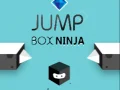 Spēle Lēciena Kaste Ninja online