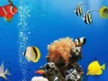 Spēle Jūras zemūdens atšķirības online Spēle Jūras zemūdens atšķirības online