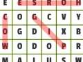 Spēle Vārdu meklēšana: Dzīvnieki online