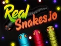 Spēle Reālās Čūskas.io online