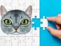 Spēle Abisiniešu Mīklu Izaicinājums online Spēle Abisiniešu Mīklu Izaicinājums online