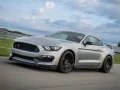 Spēle Mustang Shelby Mīkla online Spēle Mustang Shelby Mīkla online