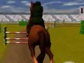 Spēle Lēkājošs Zirdziņš 3D online