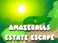 Spēle Brīnišķīgs Izsist no Mantas online