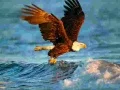 Spēle Dzīvnieku Uzlikt Puzzle: Ērglis online Spēle Dzīvnieku Uzlikt Puzzle: Ērglis online
