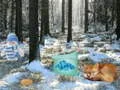 Spēle Ziemassvētku brīnumu meža piedzīvojums online Spēle Ziemassvētku brīnumu meža piedzīvojums online