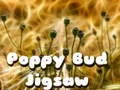 Spēle Kliņģerīšu pumpuru puzle online Spēle Kliņģerīšu pumpuru puzle online