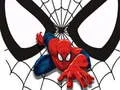 Spēle Zebras Spidermana Atbilstošās Kartes online Spēle Zebras Spidermana Atbilstošās Kartes online