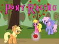 Spēle Poni Sacīkstes online