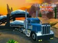 Spēle 18 riteņu kravas automašīnu vadības simulators online Spēle 18 riteņu kravas automašīnu vadības simulators online
