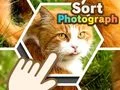 Spēle Kārtot fotogrāfijas online Spēle Kārtot fotogrāfijas online