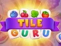 Spēle Flīžu Gūrs online
