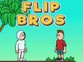 Spēle Flip Brāļi online Spēle Flip Brāļi online