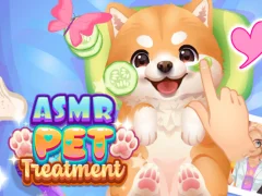 Spēle Asmr PET ārstēšana online