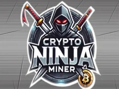 Spēle Kripto nindzju kalnracis online