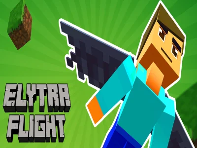 Spēle Elytra lidojums online