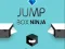 Spēle Lēciena Kaste Ninja online
