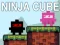 Spēle Ninja Kubs online Spēle Ninja Kubs online